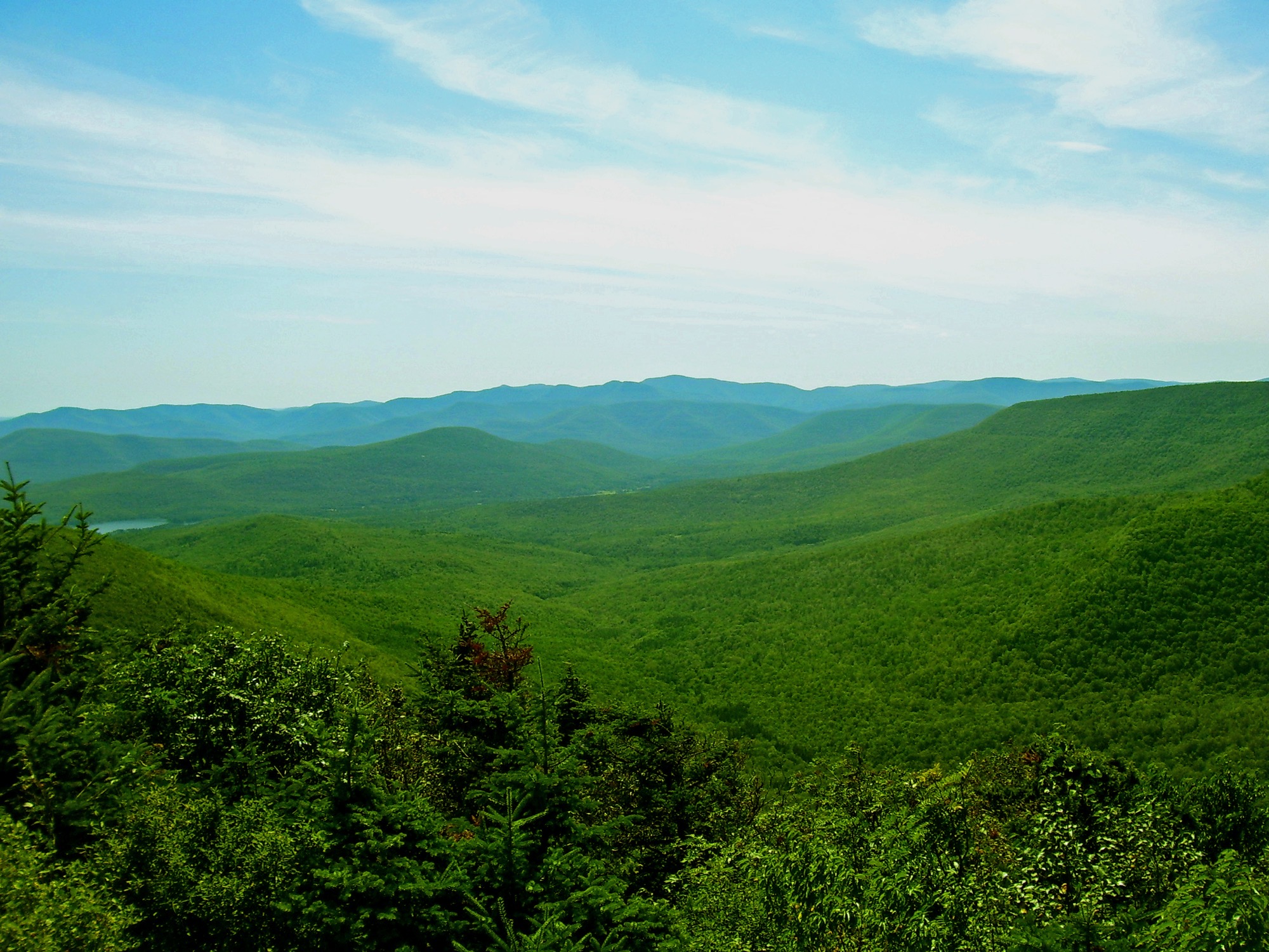 Catskill Mountains view from a summit