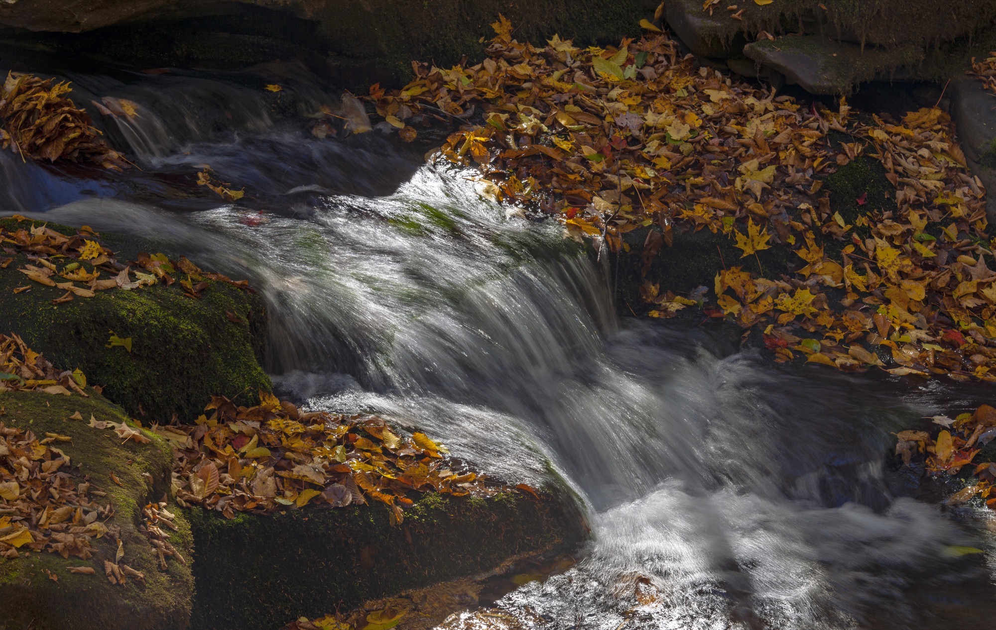 Rushing water in the West Kill area of the Catskills
